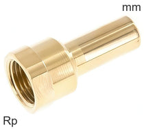 Plug In Accesorios Latón Roscas Rp Hembra