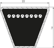 C 22x14 Mm Correas Trapezoidales Clásicas Imperiales DIN 2215