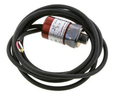 presostato de acero SPDT de 10 a 20bar G1/4'' 250VAC Cable de 3 hilos 2m