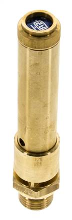 G Válvula de seguridad preajustada de latón de 1/2'' 43,5 bar (630,92 psi) DN 10