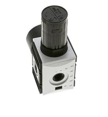 Regulador de presión para ensamblaje de colector G1/4''&3/8'' 2500l/min 0.1-1.0bar/1-14psi PA Futura 1