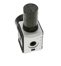 Regulador de presión para ensamblaje de colector G1/4'' 2000l/min 0.2-4.0bar/3-58psi PA Futura 1