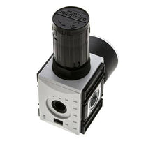 Regulador de presión para conjunto de colector G1/4'' y 3/8'' 2500l/min 0,5-10,0bar/7-145psi Futura 1