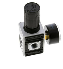 Regulador de presión para ensamblaje de colector G1/4''&3/8'' 2500l/min 0.5-16.0bar/7-232psi PA Futura 1