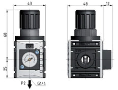Regulador de presión para ensamblaje de colector G1/4'' 1000l/min 0.5-8.0bar/7-116psi PA 40 mm Manómetro Futura 0