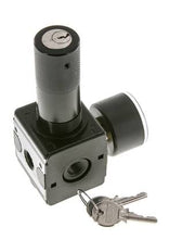 Regulador de presión para ensamblaje de colector G1/4'' 2250l/min 0.2-6.0bar/3-87psi Fundición de zinc 40 mm Manómetro Multifix 1