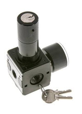 Regulador de presión para ensamblaje de colector G1/4'' 2250l/min 0.1-3.0bar/1-44psi Fundición de zinc 40 mm Manómetro Multifix 1
