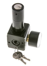 Regulador de presión para ensamblaje de colector G1/4'' 2250l/min 0.1-3.0bar/1-44psi Fundición de zinc 40 mm Manómetro Multifix 1