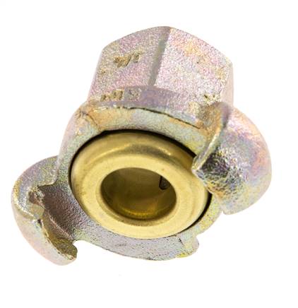 Hierro fundido DN 17 DIN 3489 Acoplamiento de garras giratorias Rp 3/4'' Hembra