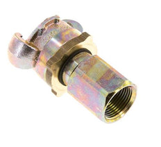 Hierro fundido DN 17 DIN 3238 Acoplamiento de garras giratorias G 3/4'' Hembra