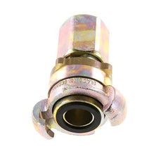 Hierro fundido DN 17 DIN 3238 Acoplamiento de garras giratorias G 3/4'' Hembra