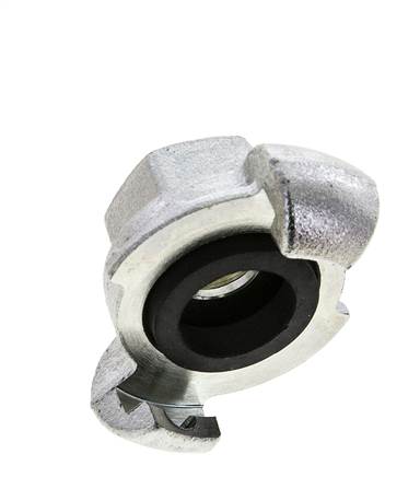 Hierro fundido DN 19 DIN 3489 Acoplamiento de garras giratorias Rp 1/2'' hembra