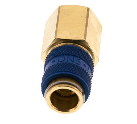 Acoplamiento de aire de latón DN 5 azul Toma G 1/4 pulgada hembra
