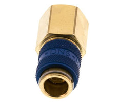 Acoplamiento de aire de latón DN 5 azul Toma G 1/4 pulgada hembra