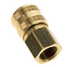 Acoplamiento de aire de latón DN 5,5 (Orion) Enchufe G 3/8 pulgadas Hembra