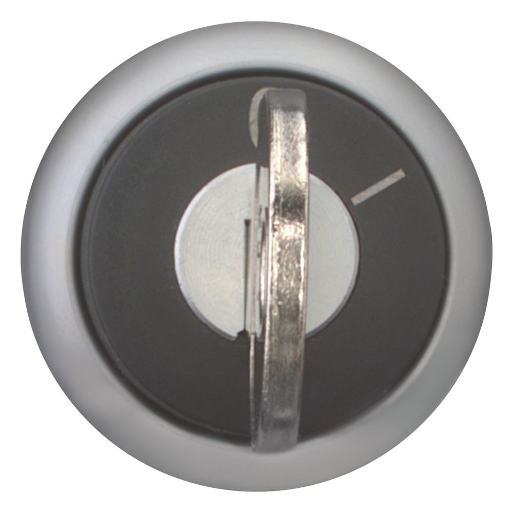 EATON INDUSTRIES RMQ-Titan Interruptor Selector Elemento Frontal - 216881