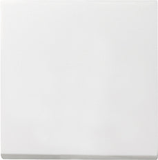 Gira System 55 Elemento de mando/conmutador de placa central - 029627 [2 Piezas]
