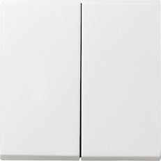 Gira Sistema 55 Elemento De Mando/Conmutador De Placa Central - 029527