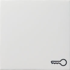 Gira System 55 Elemento de mando/conmutador de placa central - 028727 [2 Piezas]