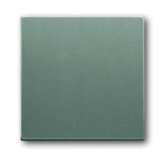 ABB Busch-Jaeger Elemento De Control Solo/Conmutador De Placa Central - 2CKA001751A3012