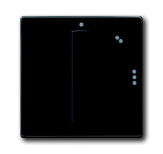 ABB Busch-Jaeger Futuro Elemento De Control/Conmutador De Placa Central - 2CKA001710A3649