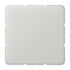Elemento De Control/conmutador De Placa Central CD500 De Jung - CD594-0LG