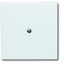 ABB Busch-Jaeger Elemento De Control/placa Central De Conmutación Para Todo Tipo De Clima IP44 - 2CKA001710A1852