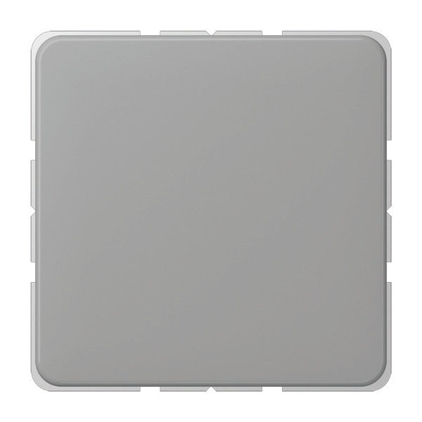 Elemento De Control/conmutador De Placa Central CD500 De Jung - CD594-OGR
