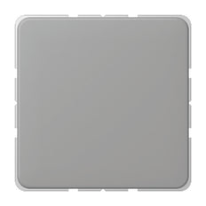 Elemento De Control/conmutador De Placa Central CD500 De Jung - CD594-OGR