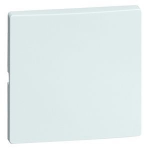 Honeywell Peha DIALOG Elemento De Control/Conmutador De Placa Central - 00309811
