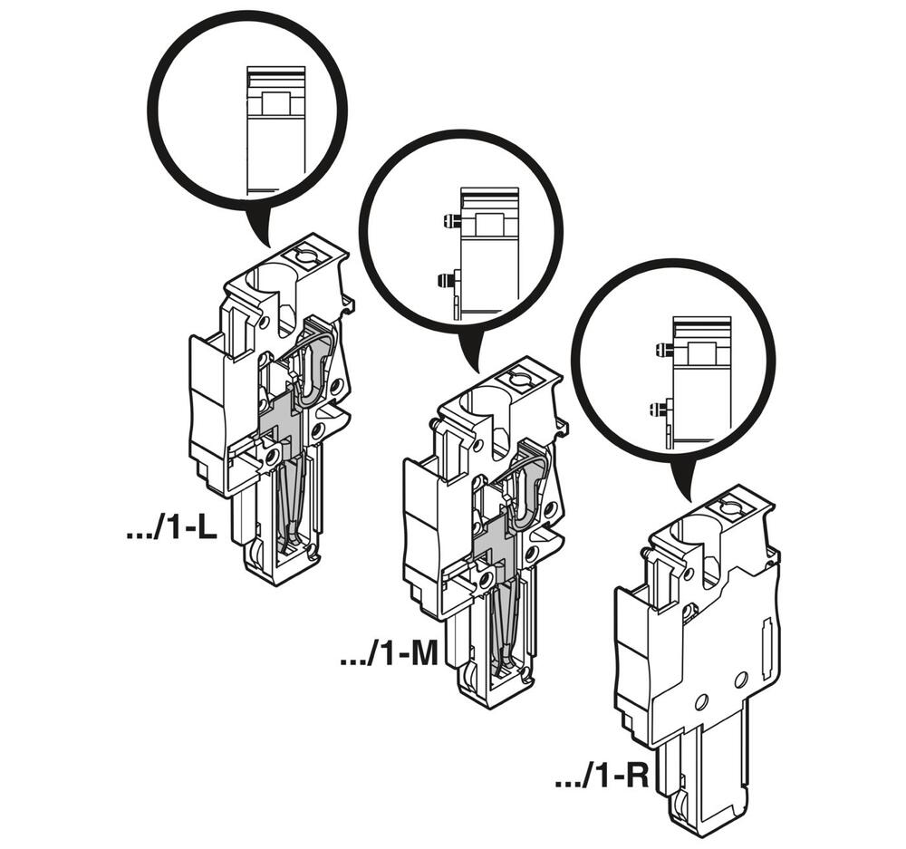 Phoenix Contact Conector Modular PP - 3210091 [5 Piezas]