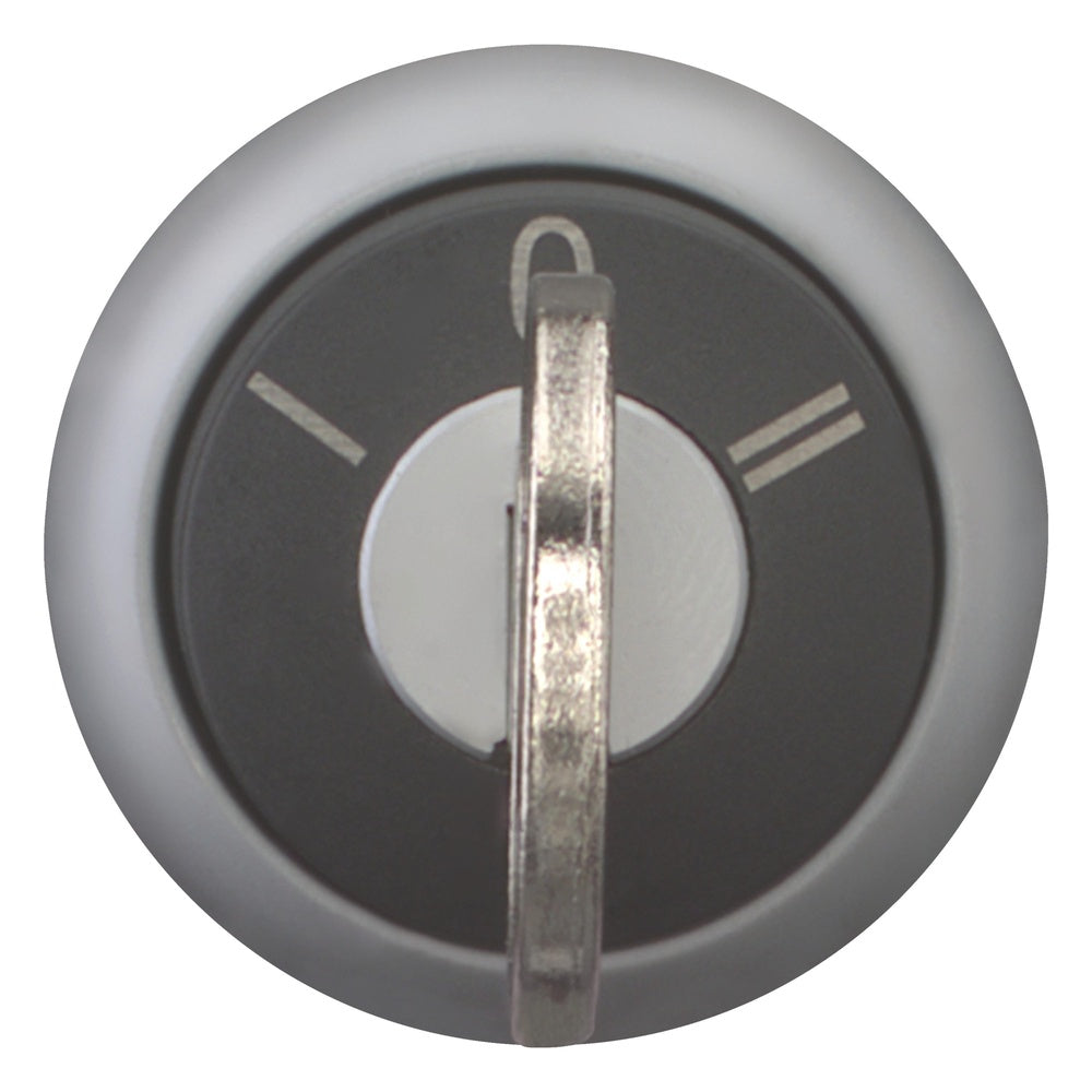 EATON INDUSTRIES RMQ-Titan Interruptor Selector Elemento Frontal - 216894