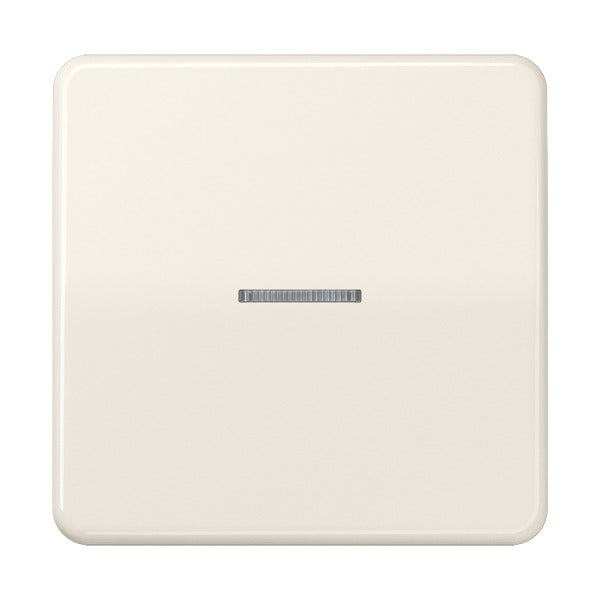 Elemento De Control/conmutador De Placa Central CD500 De Jung - CD590KO5