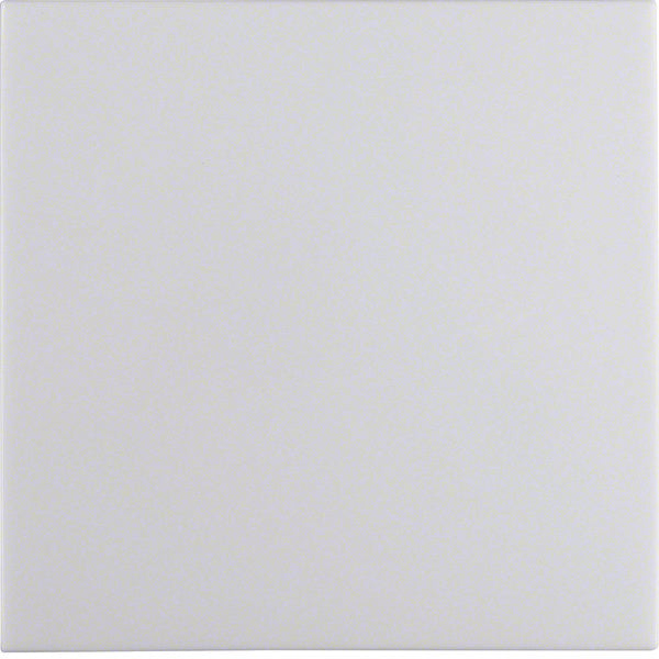Hager Berker S.1/B.3/B.7 Elemento de Control/Conmutador de Placa Central - 16208989 [2 Piezas]