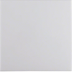 Hager Berker S.1/B.3/B.7 Elemento de Control/Conmutador de Placa Central - 16208989 [2 Piezas]