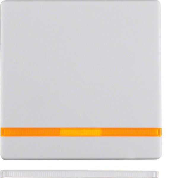 Hager Berker Q.1/Q.3 Elemento de Control/Conmutador de Placa Central - 16216089 [2 Piezas]