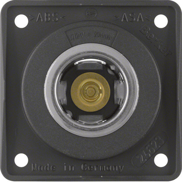 Hager Berker Enchufe Mural Integro (Interruptor WCD) - 845712505