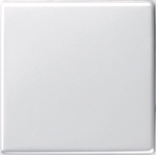 Gira System 55 Elemento de mando/Conmutador de placa central - 029603 [2 Piezas]