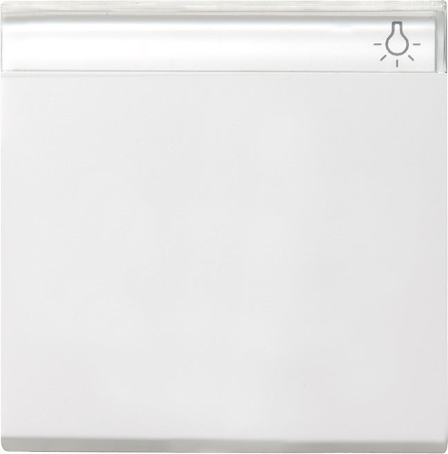 Gira Sistema 55 Elemento De Mando/Conmutador De Placa Central - 029903