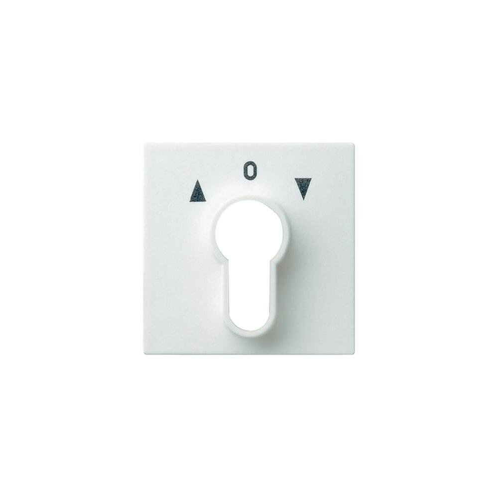 Gira Sistema 55 Elemento De Mando/Conmutador De Placa Central - 066403