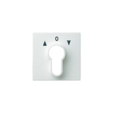 Gira Sistema 55 Elemento De Mando/Conmutador De Placa Central - 066403