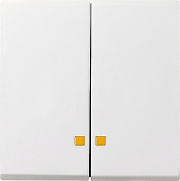 Gira Sistema 55 Elemento De Mando/Conmutador De Placa Central - 063103
