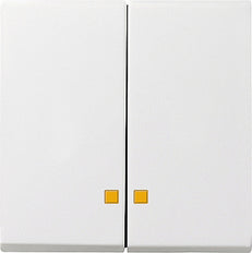 Gira Sistema 55 Elemento De Mando/Conmutador De Placa Central - 063103