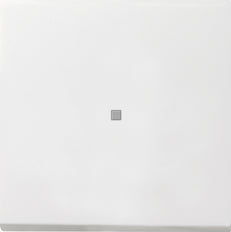 Gira F100 Elemento De Mando/Conmutador De Placa Central - 0290112