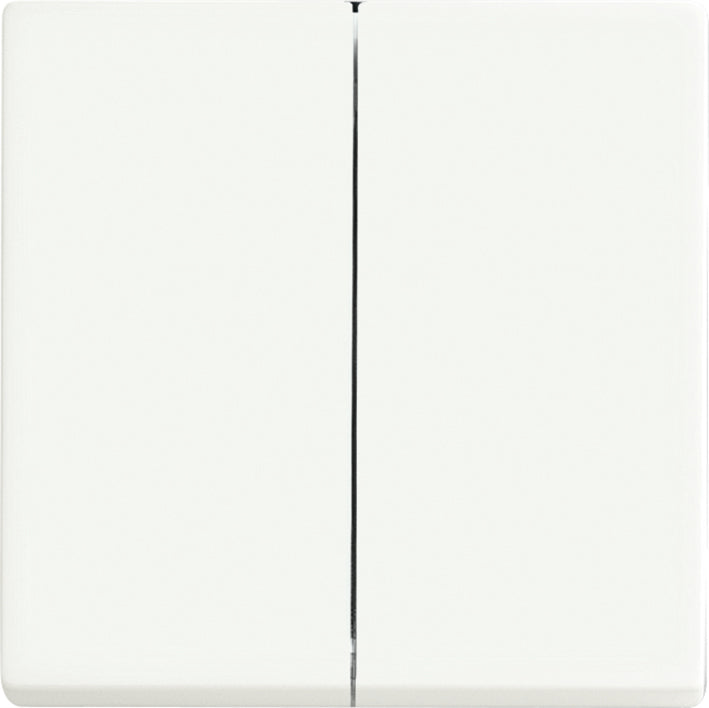 ABB Elemento De Control Busch-Jaeger/Conmutador De Placa Central - 2CKA006730A0140