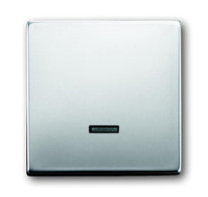ABB Busch-Jaeger Elemento De Control/placa Central De Conmutación De Acero Inoxidable Puro - 2CKA006599A2926