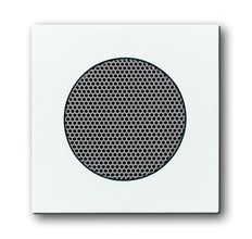 ABB Busch-Jaeger Futuro/Solo Elemento De Control/Conmutador De Placa Central - 2CKA008200A0081
