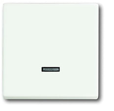 ABB Busch-Jaeger Futuro Elemento De Control/Conmutador De Placa Central - 2CKA006599A2963