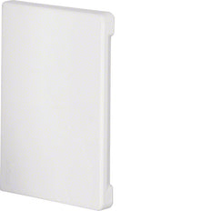 Hager Tehalit Placa final Canal/suela de pared - BR6510069016
