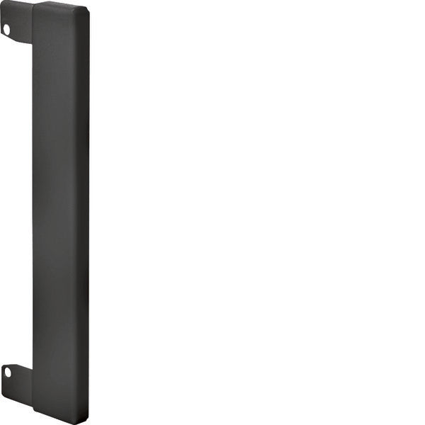 Hager Tehalit Placa con reborde Canal de pared - BR100WK9011